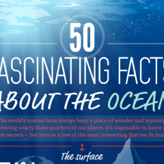 50 tény az óceánokról