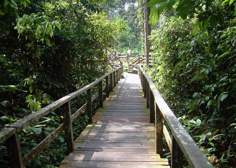 Sepilok-Orangutan-farm-malajzia-buvar-buvartura-sipadan-nyaralas-borneo