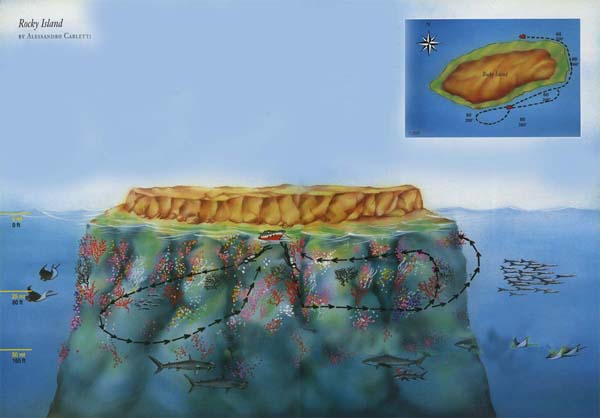 buvar-rocky-sziget-merules-terkep-egyiptom-voros-tenger-buvarszafari