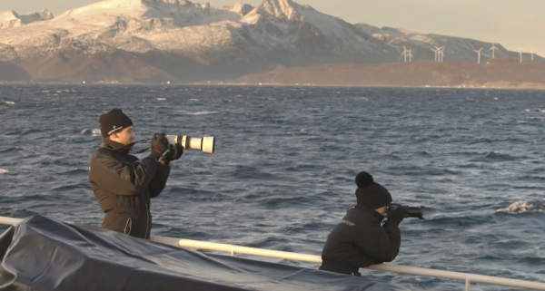 balna-foto-fenykep-expedicio-orka